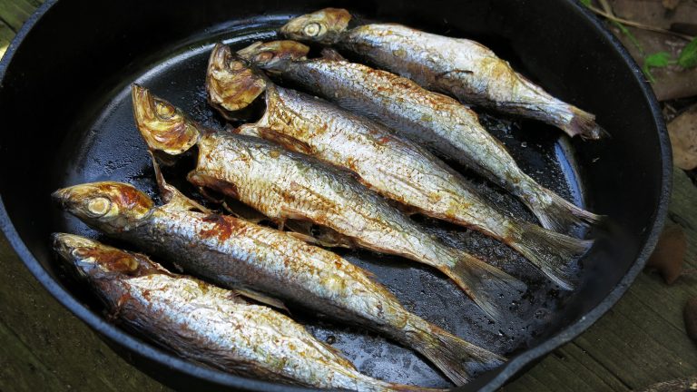 Herring A Versatile and Nutritious Fish