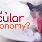 Molecular Gastronomy A Culinary Revolution